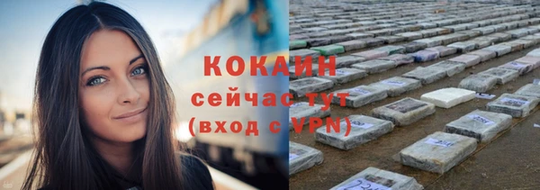 твердый Богданович