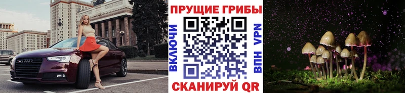 закладки  Высоцк  Галлюциногенные грибы мицелий 